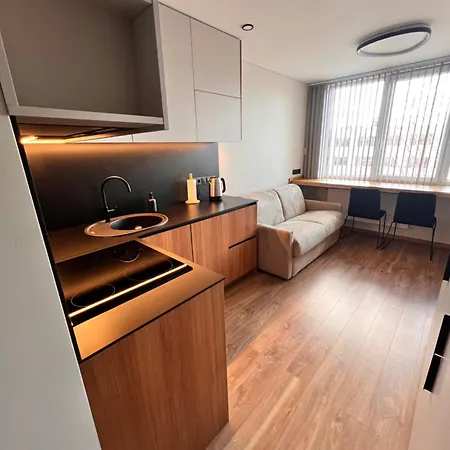 Apartment Zveryno Studija *