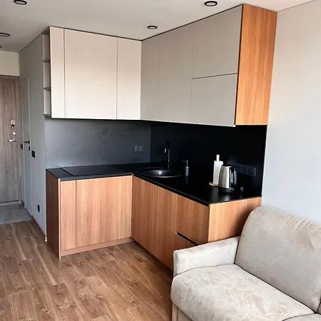 Zveryno Studija Lägenhet Vilnius
