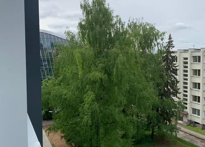 Zveryno Studija Vilnius